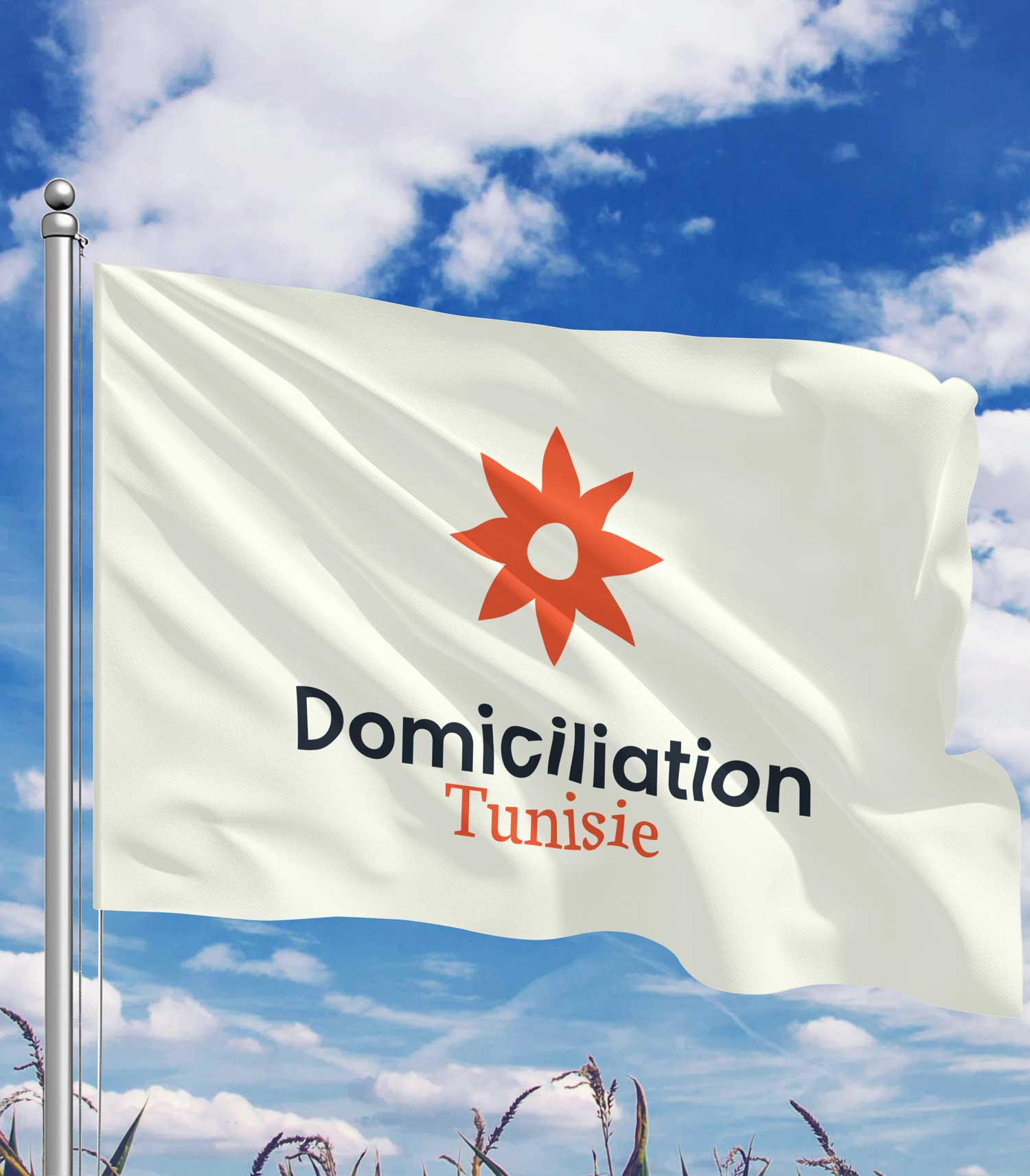 a propos domiciliation tunisie